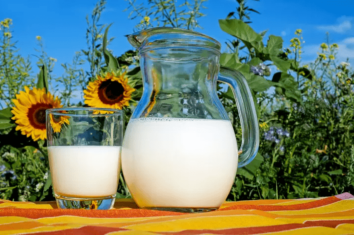 La leche es un elemento básico de la dieta de Dukan. 